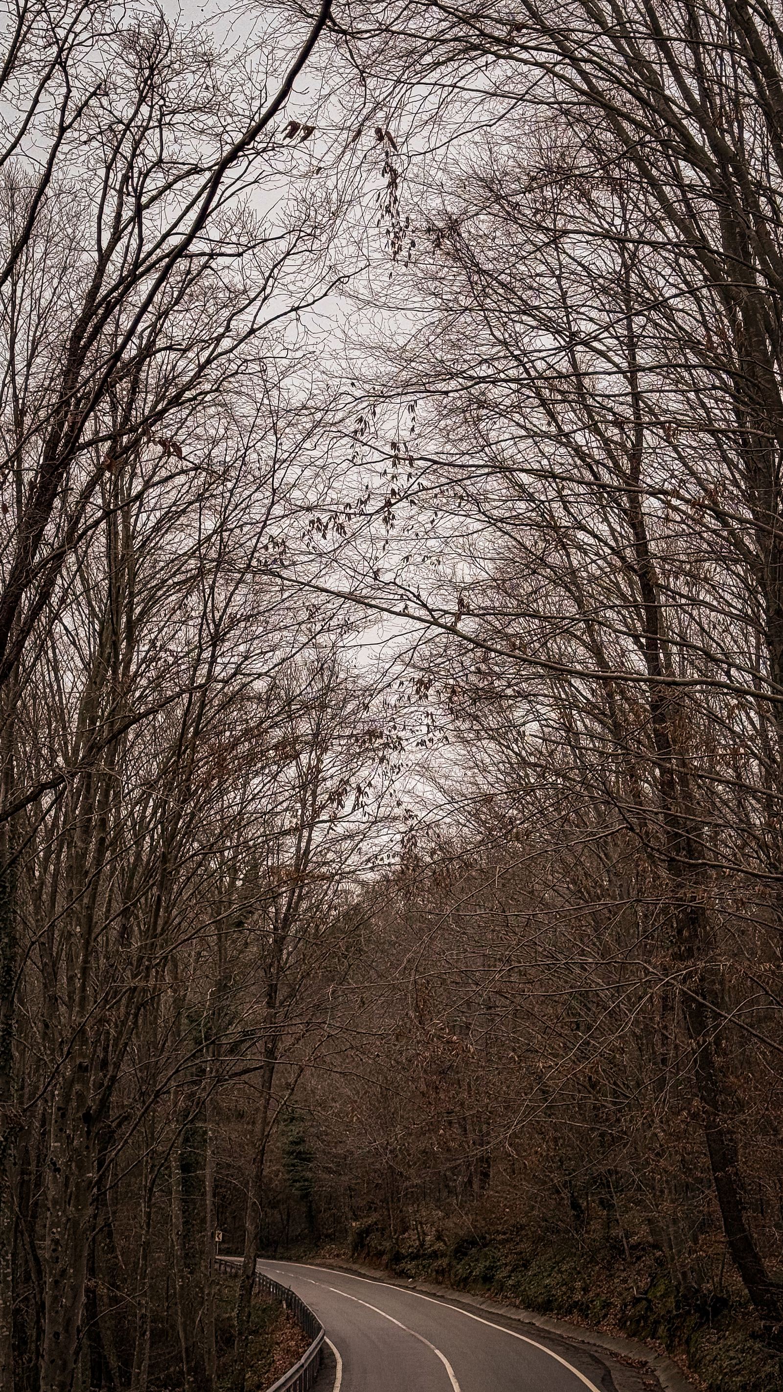 Suma Disanje — Biz Kimiz